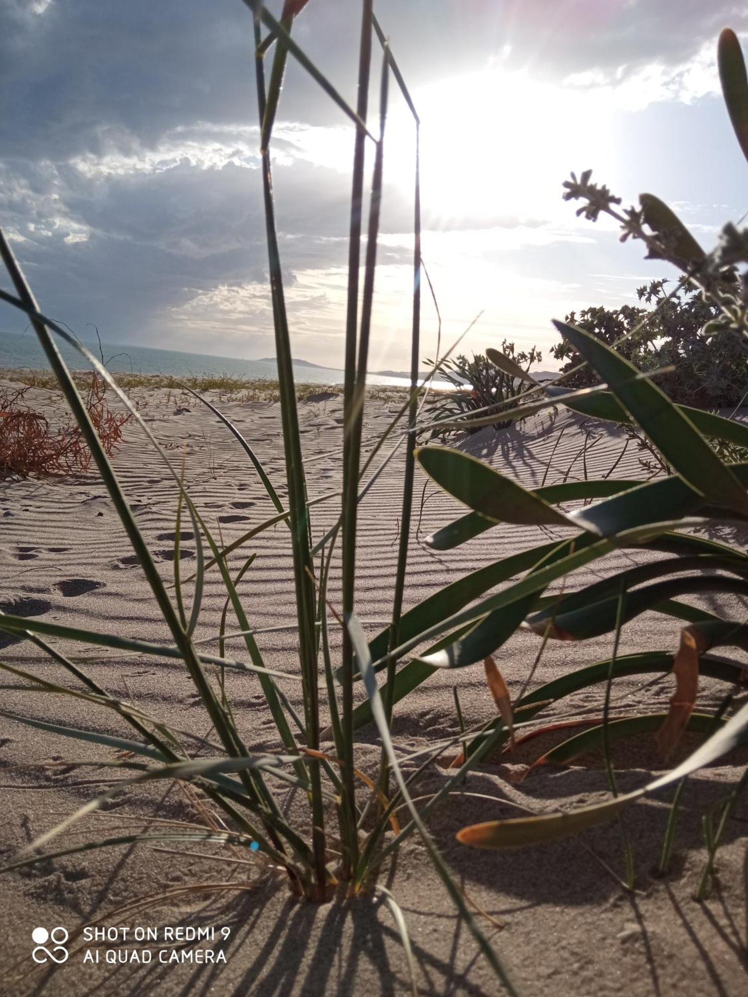 Natura E Relax Sul Mare Gela Εξωτερικό φωτογραφία